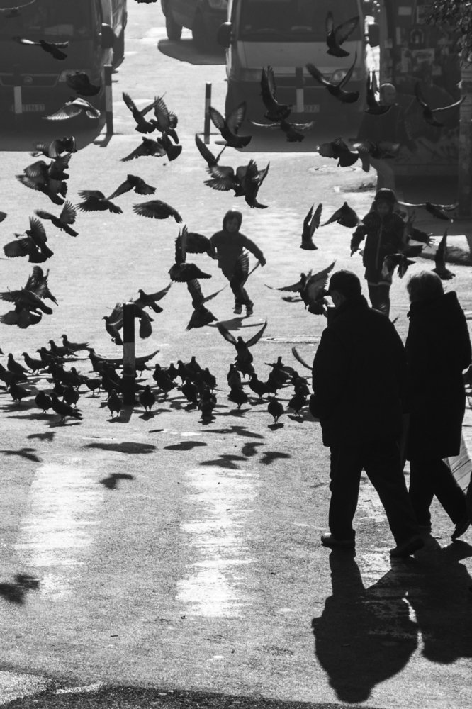 Photograph by  Dimitar