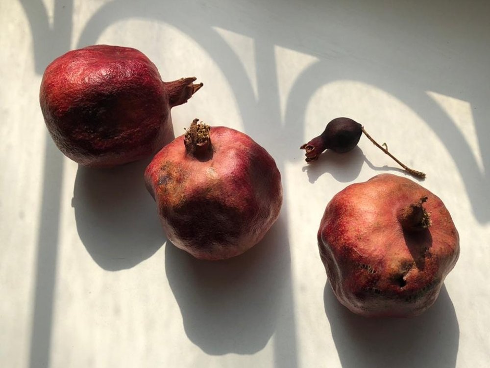 Photograph by Сергей Смирнов