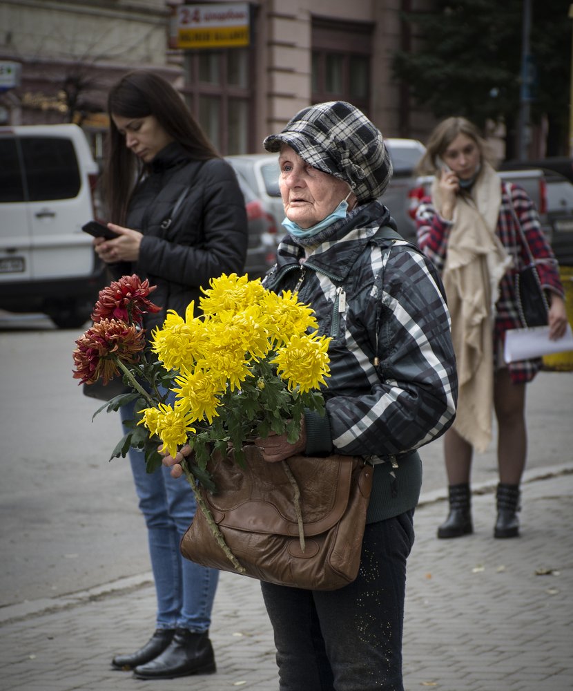 Цветы осени.
