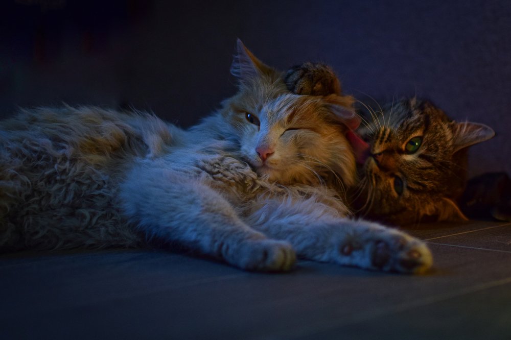 Photograph by Бедряк Юлия