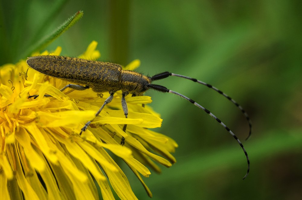 Photograph by Андрей Бурда