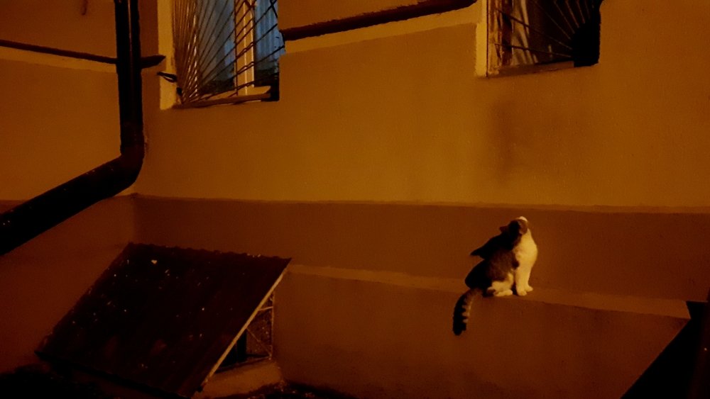 Photograph by Сергей Смирнов