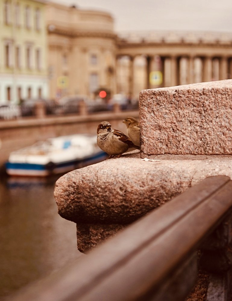 Photograph by Юлия Дерябкина