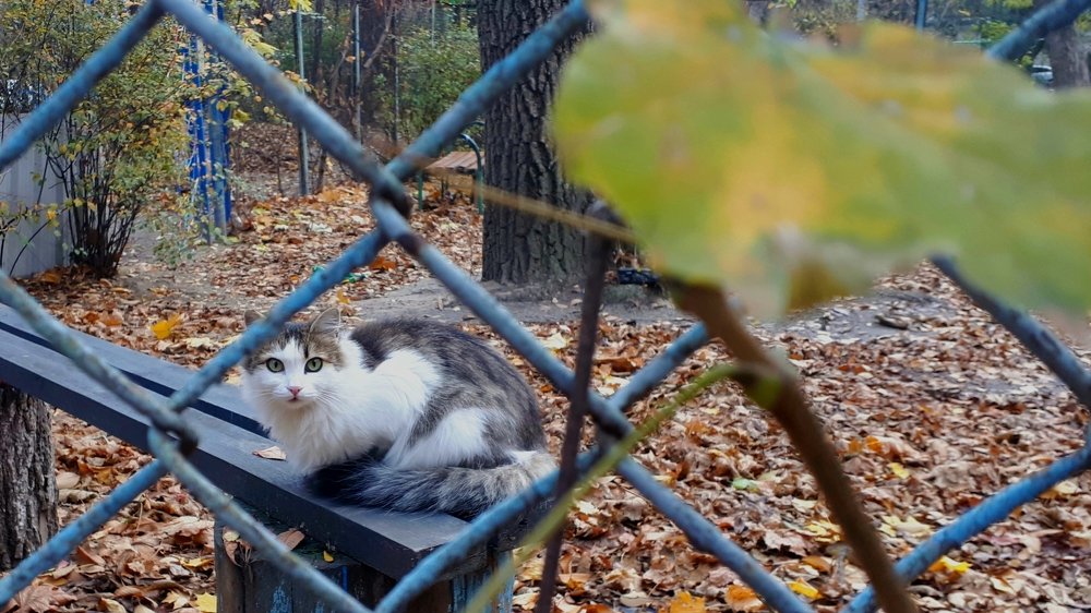 Photograph by Сергей Смирнов