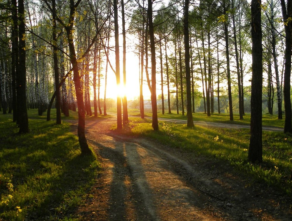 Photograph by Александр Малютин