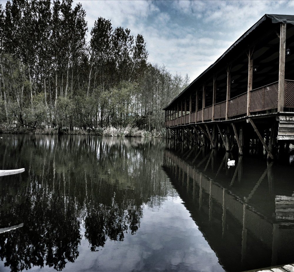 Photograph by GUNSEL SECKİNER