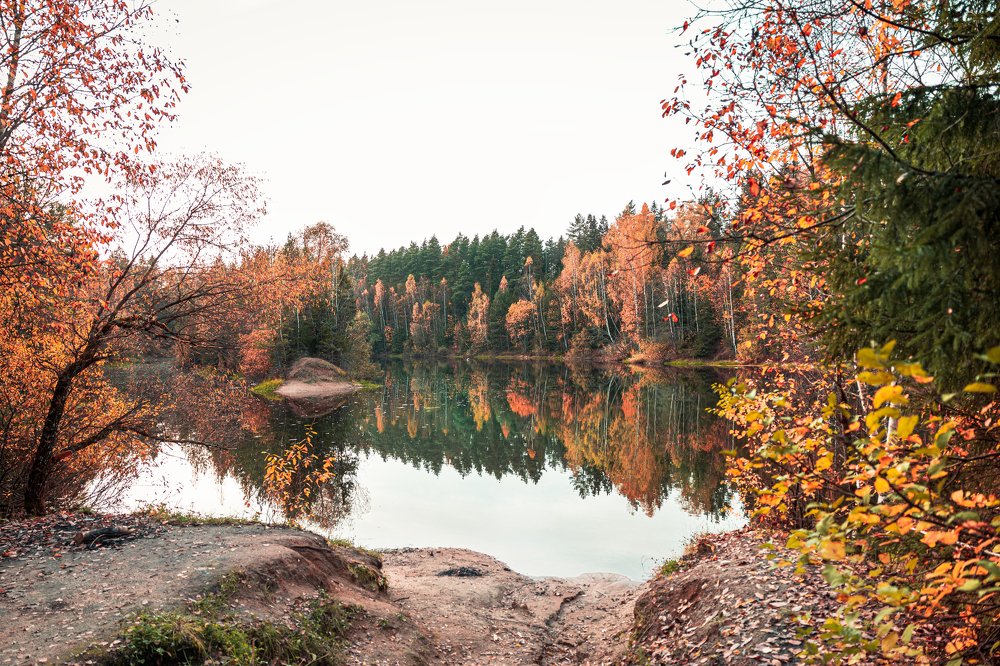 Безумство красок Осени
