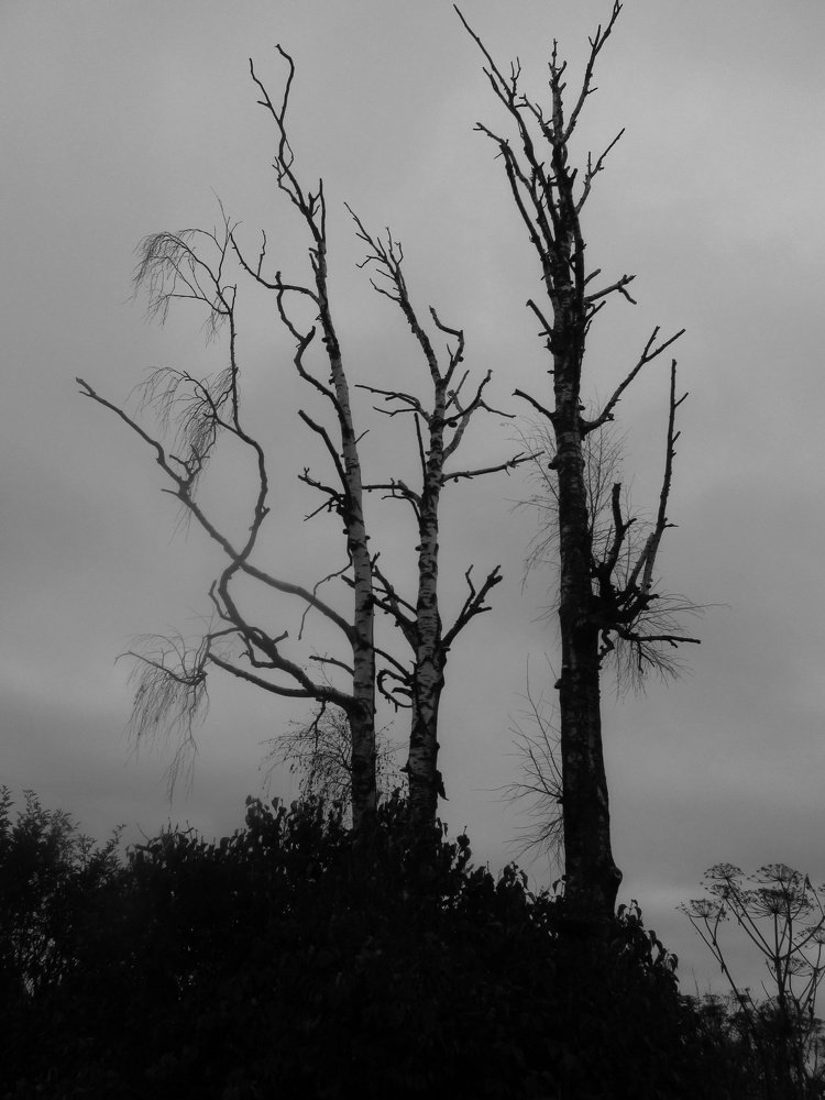 Умирающие храмы