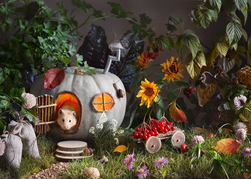 Хомячье царство