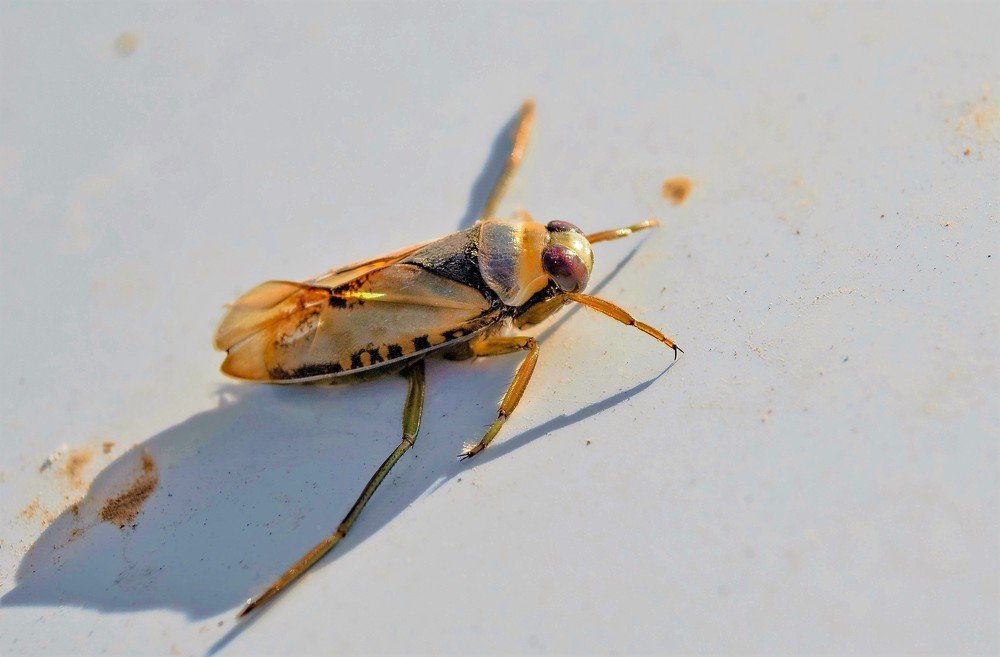 Photograph by Алексей Сиваков