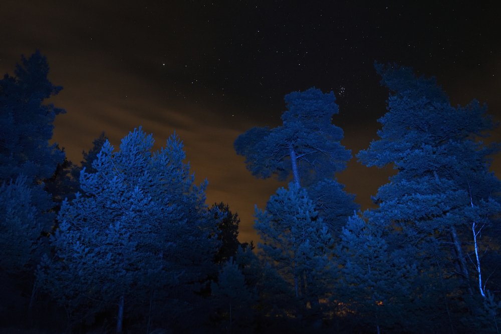 Photograph by Семен Батов