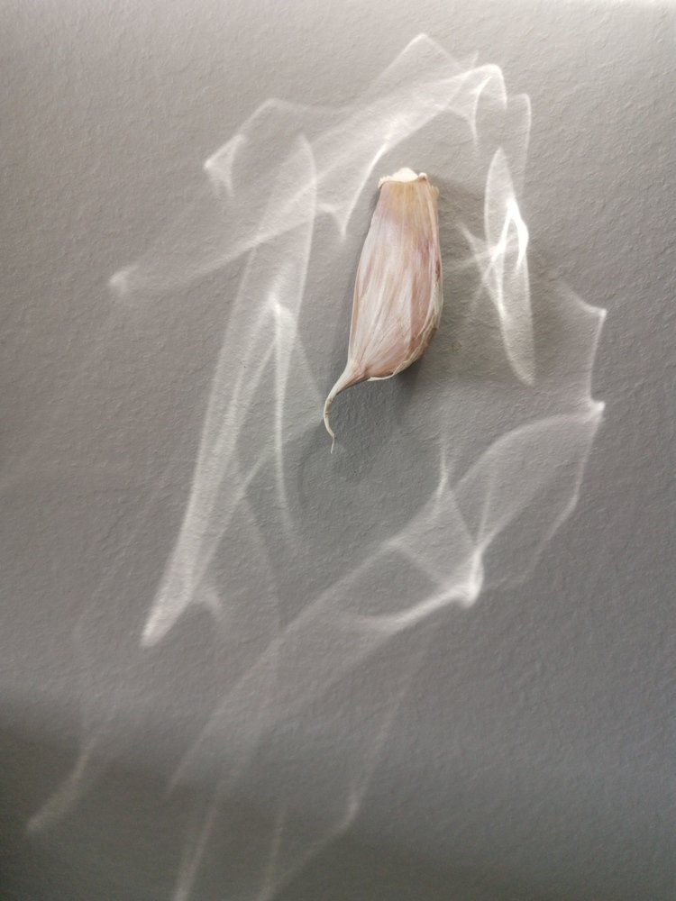 Photograph by Готардо Ронитис