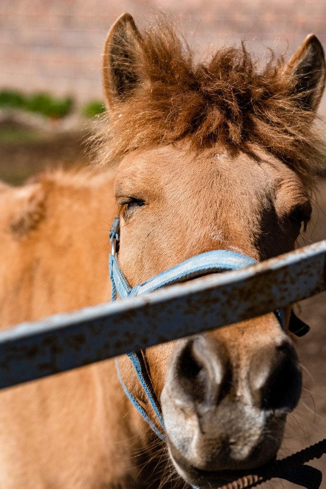 Фотография автора Dmitriy Sotnikov