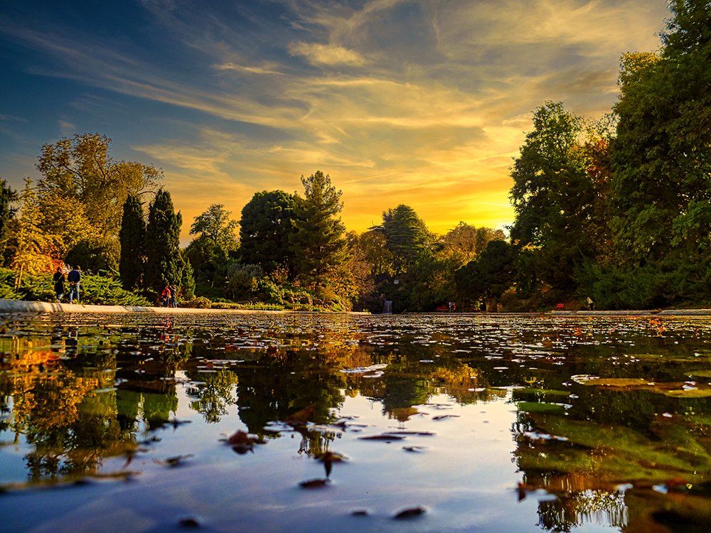 Photograph by Siamak Sabet