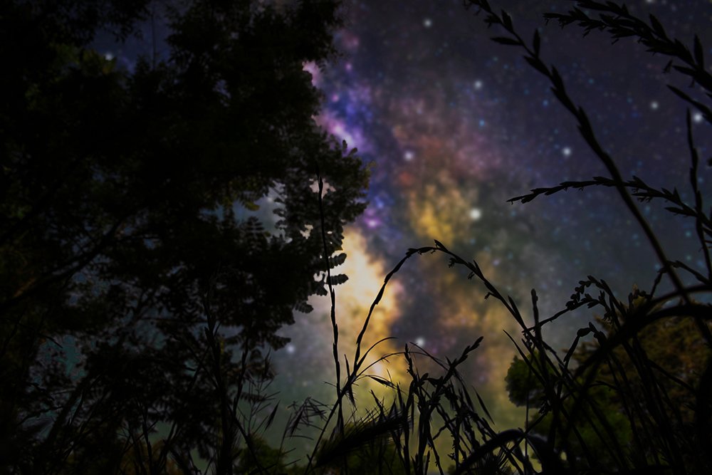 Photograph by Siamak Sabet