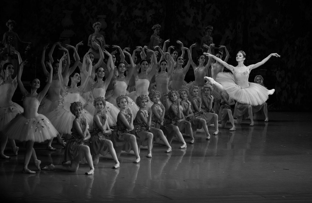 Dreams of Don Quixote