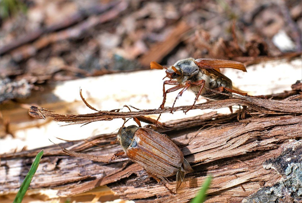 Photograph by Алексей Сиваков