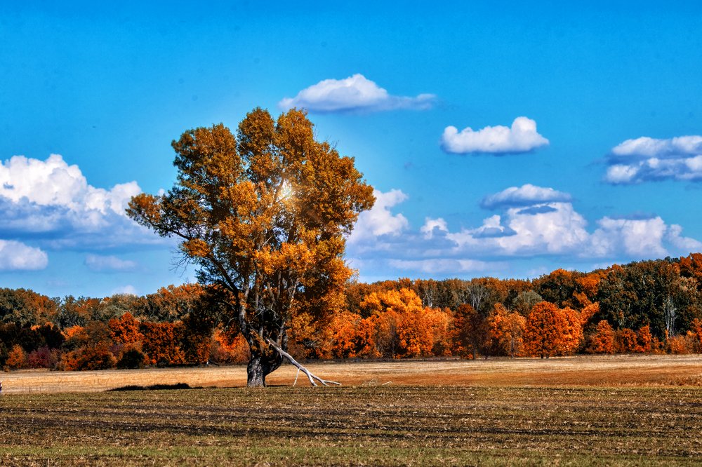 Photograph by Валерий Шорохов