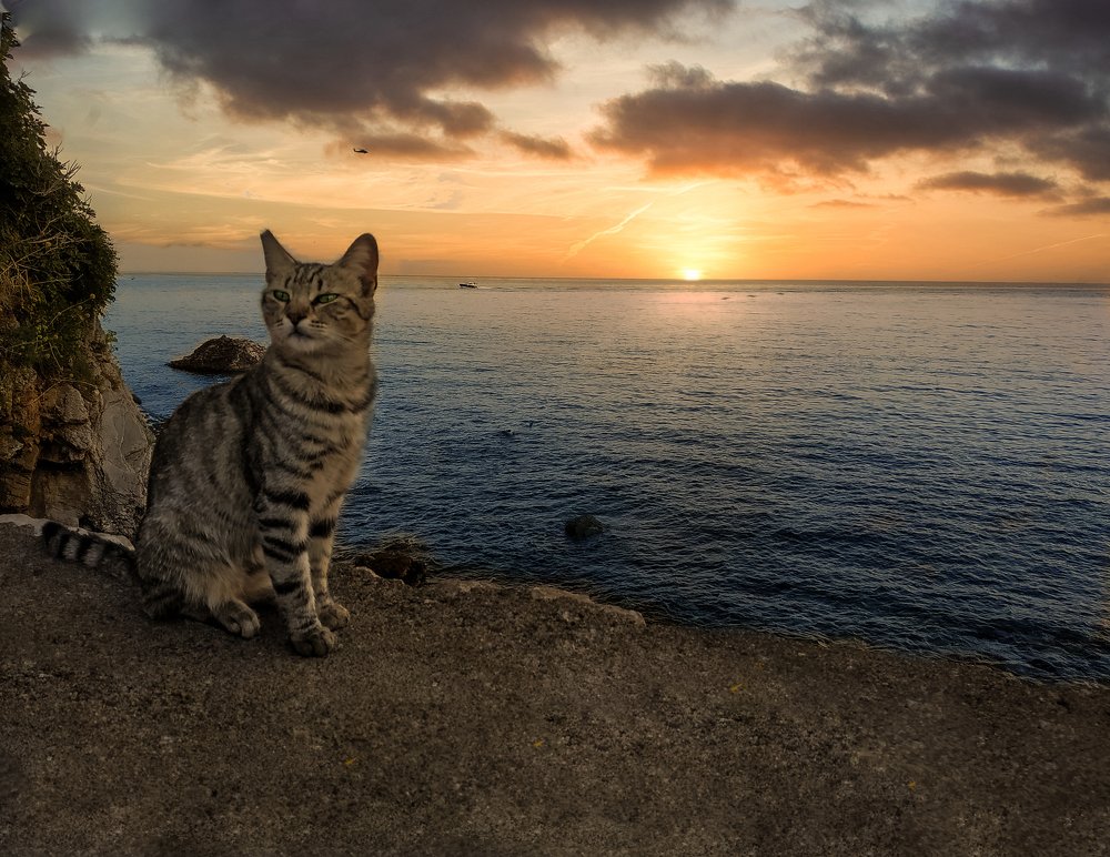 Photograph by Anna Samagina