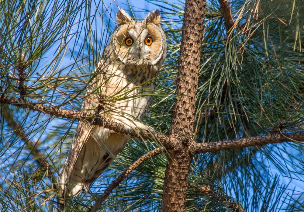 Photograph by Александр