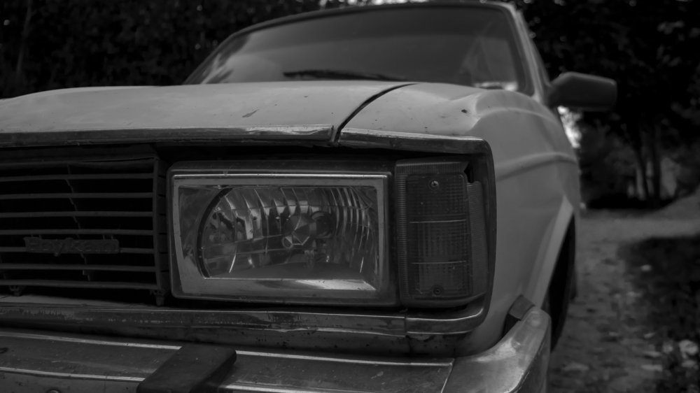 Photograph by Daniel Mehrani