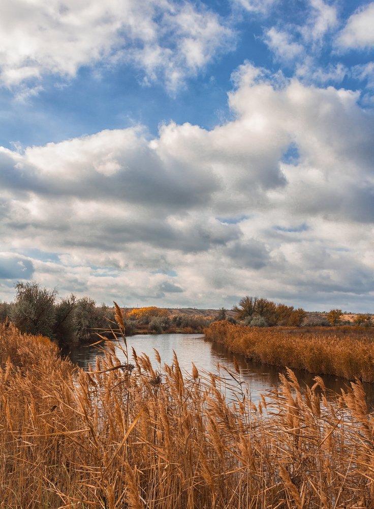 Photograph by Лариса Арнаутова