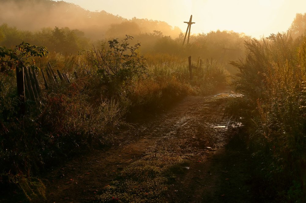 Photograph by Евгений Паршуков