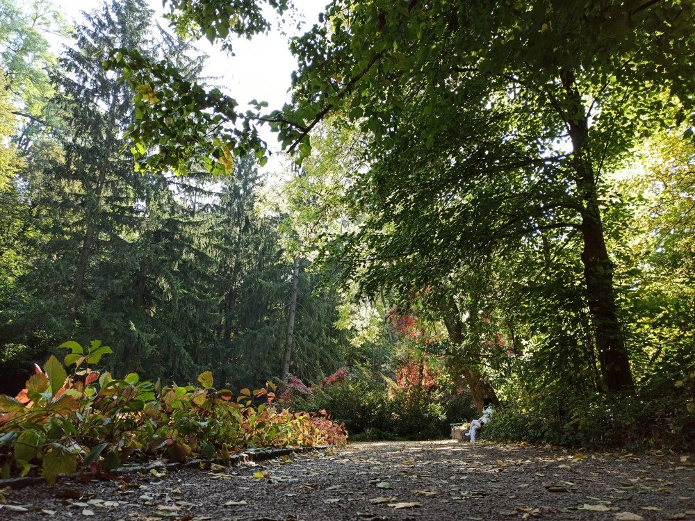 Photograph by Лена Силайчева