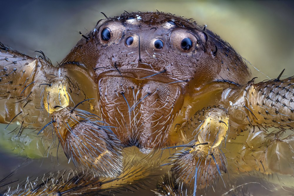 Photograph by Сергей Федоренко