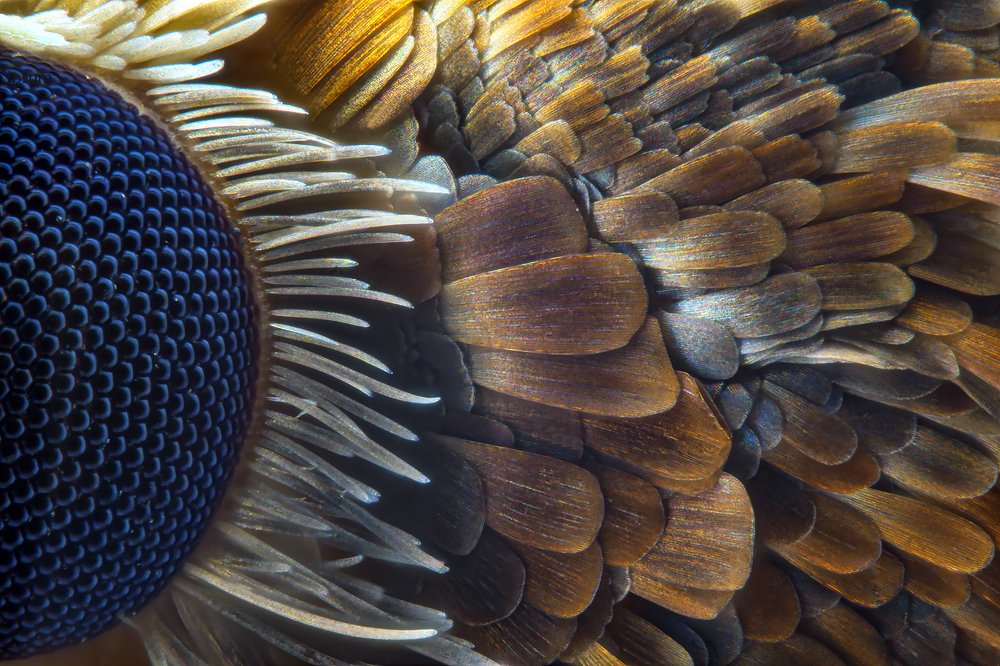 Photograph by Сергей Федоренко