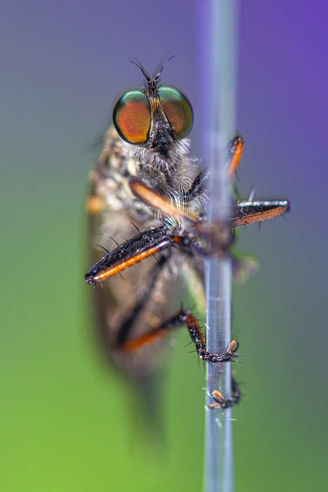 Photograph by Сергей Федоренко