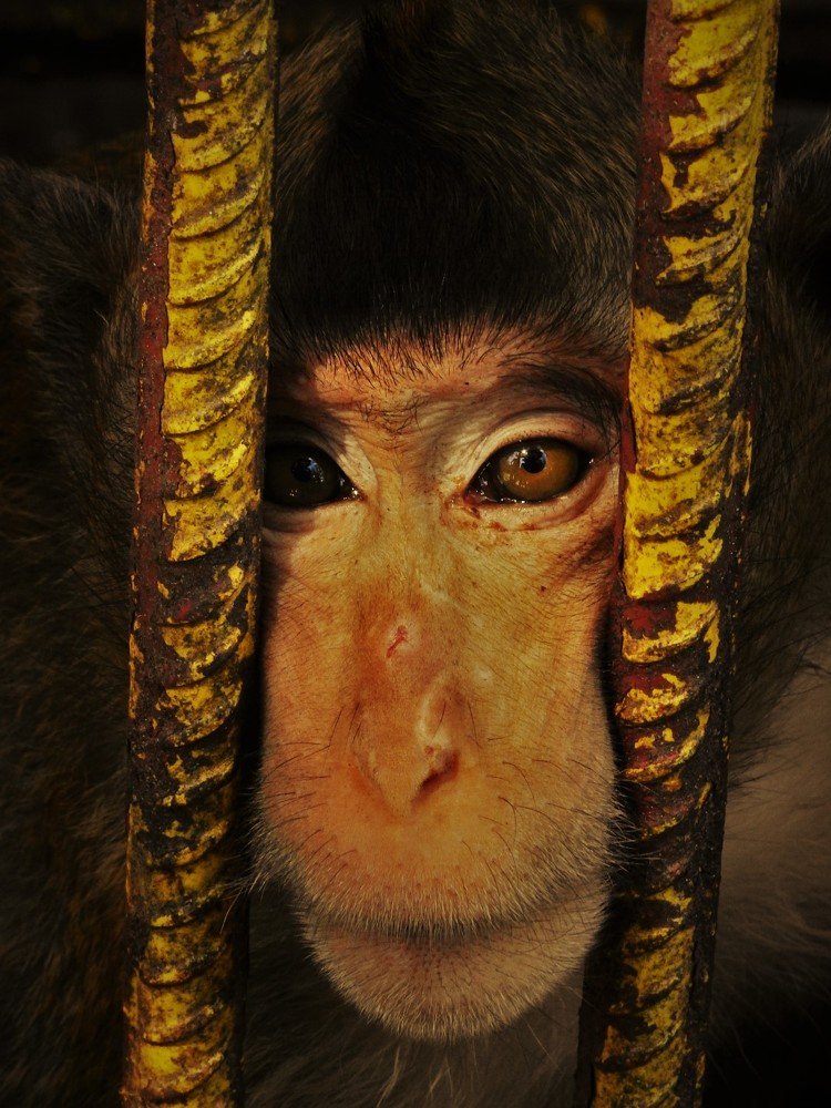 Photograph by Javier Rodriguez Rigual