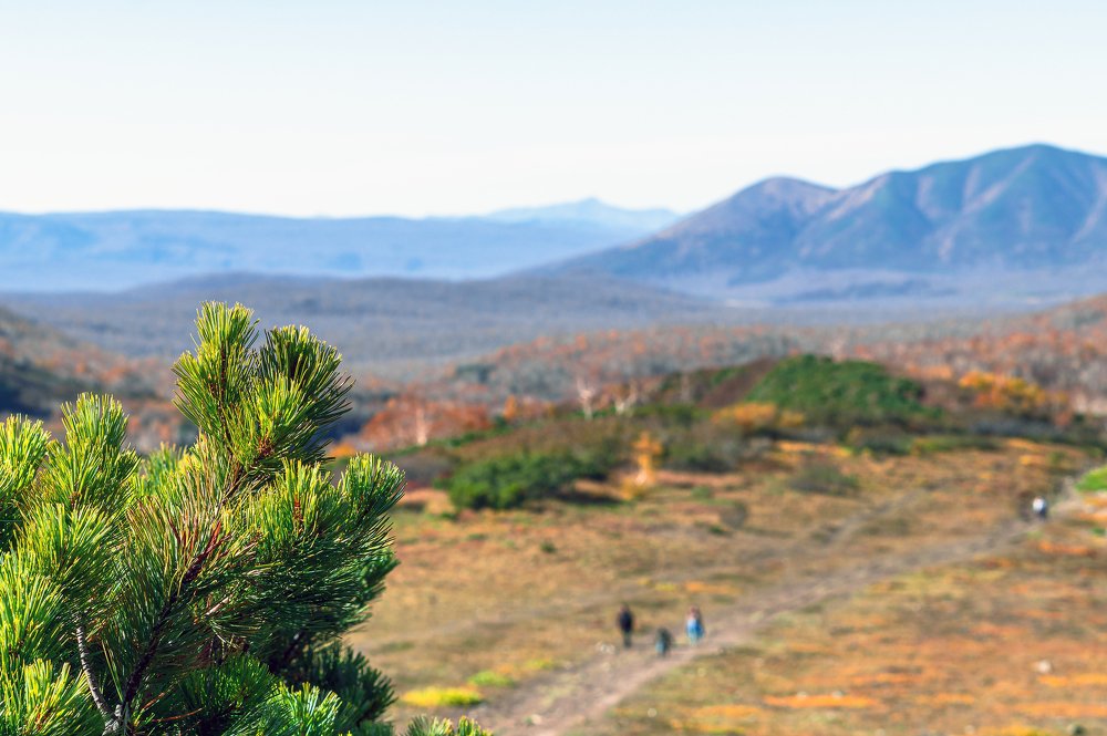 Photograph by Денис Давыдов