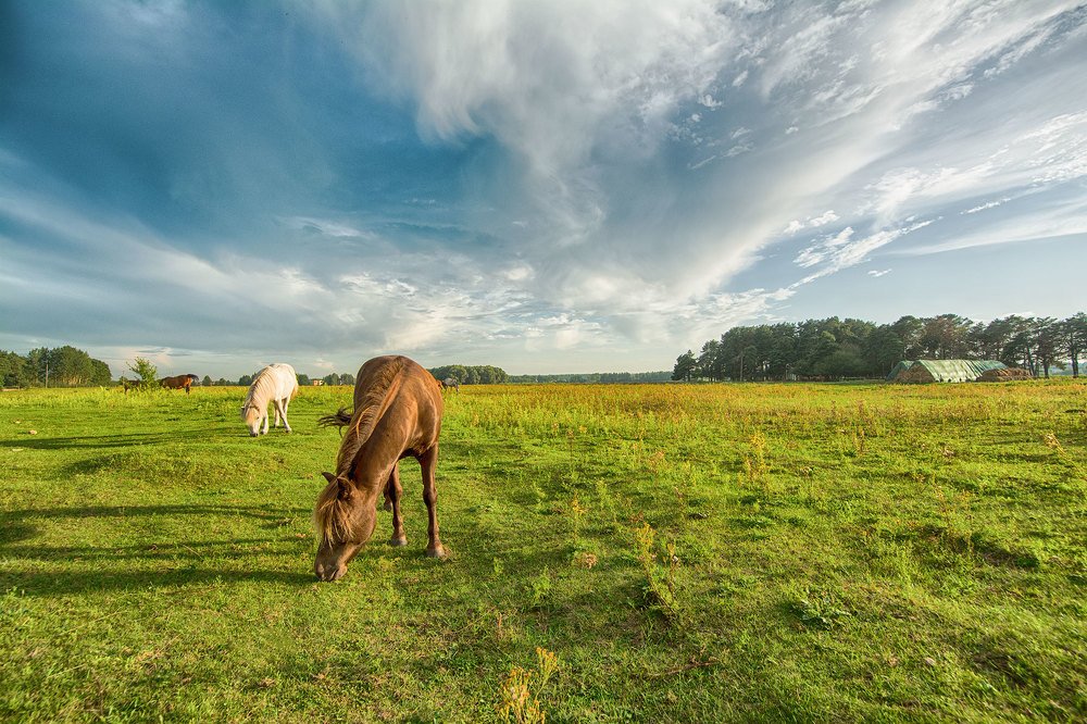 Photograph by Julija JKv