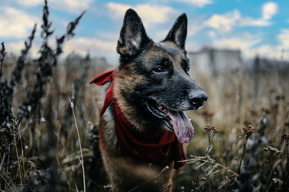 Photograph by Денис Давыдов