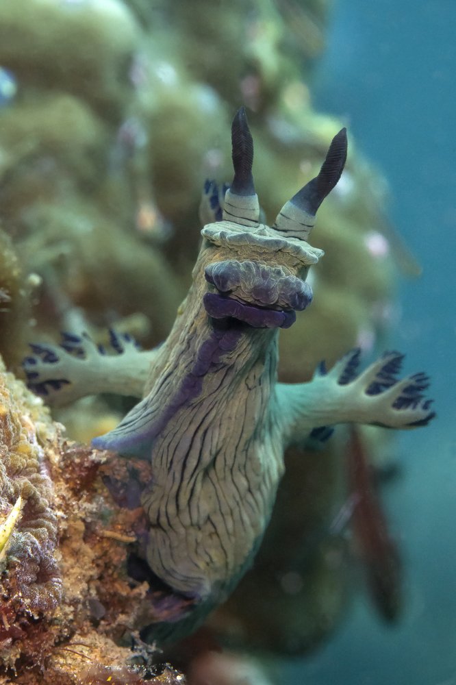 Photograph by Сергей Федоренко