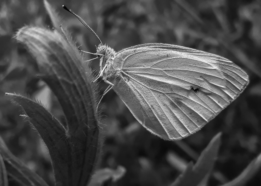 Фотография автора Alipour mohammad