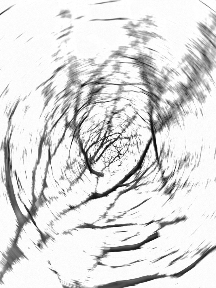 Photograph by Antonina Marchenko