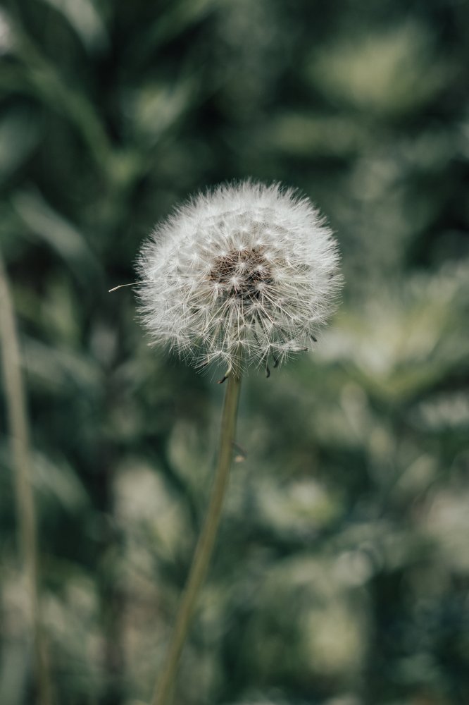 Photograph by Наталья Кеворкова