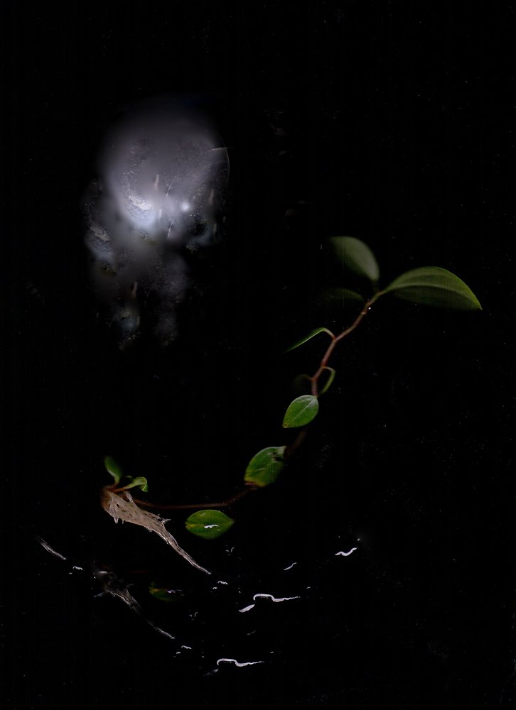 Photograph by Блюмина Елена