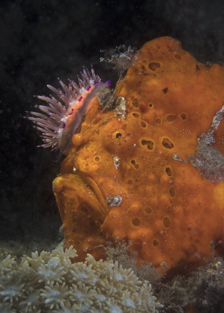 Photograph by Сергей Федоренко