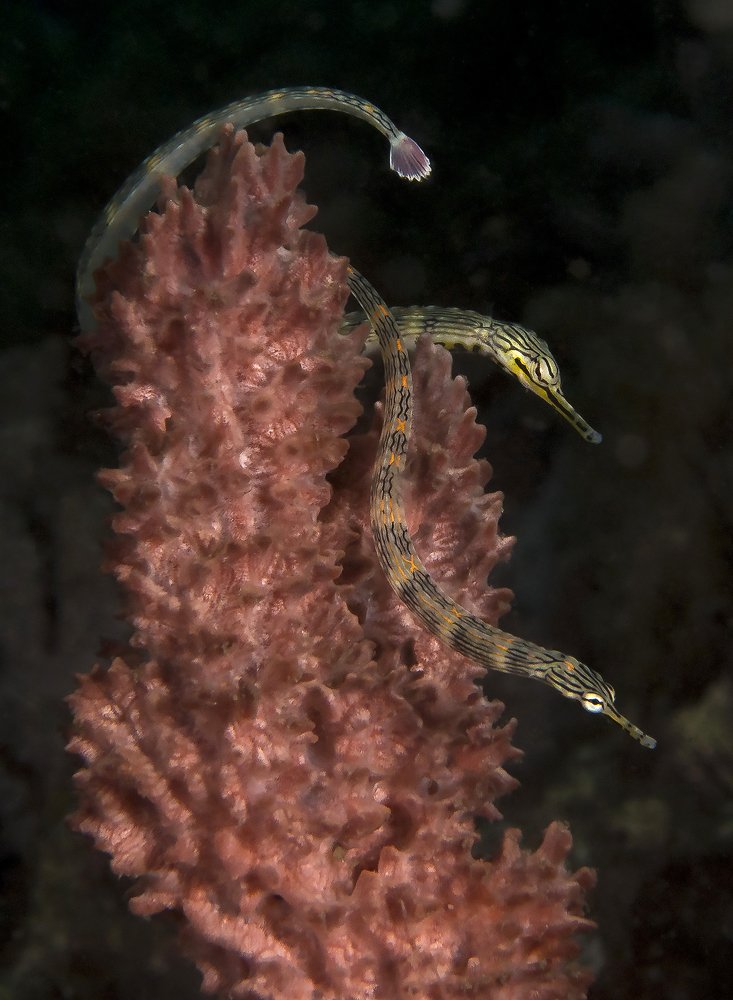 Photograph by Сергей Федоренко