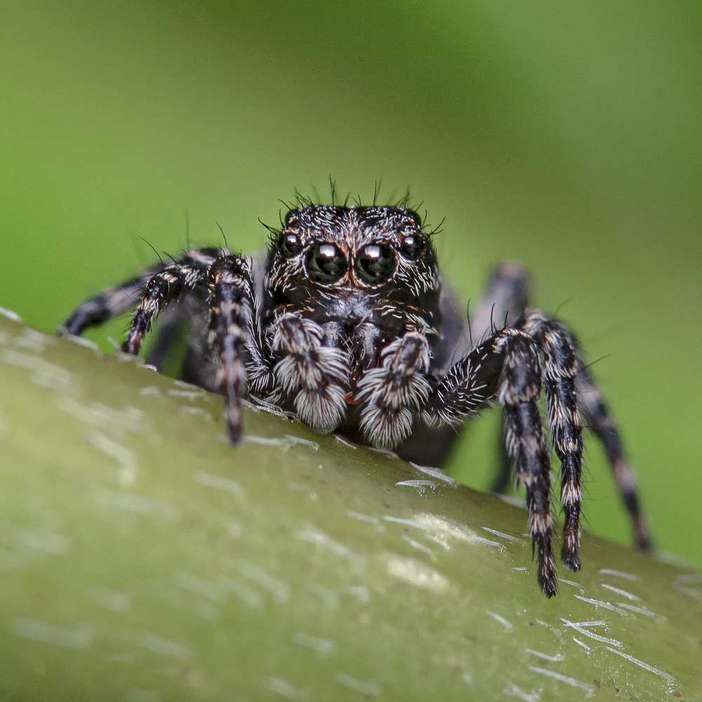 Photograph by Сергей Федоренко