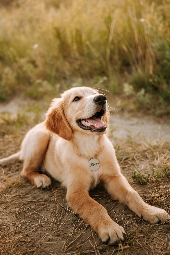 Photograph by Мила Брык