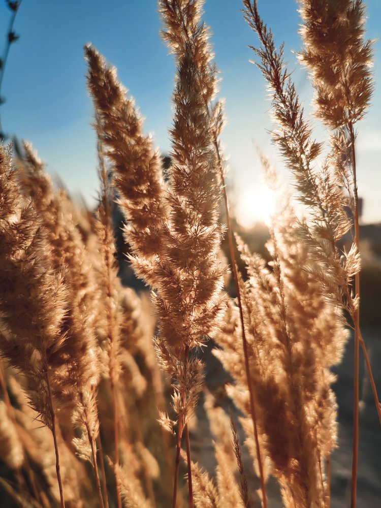 Photograph by Дарья Прусс