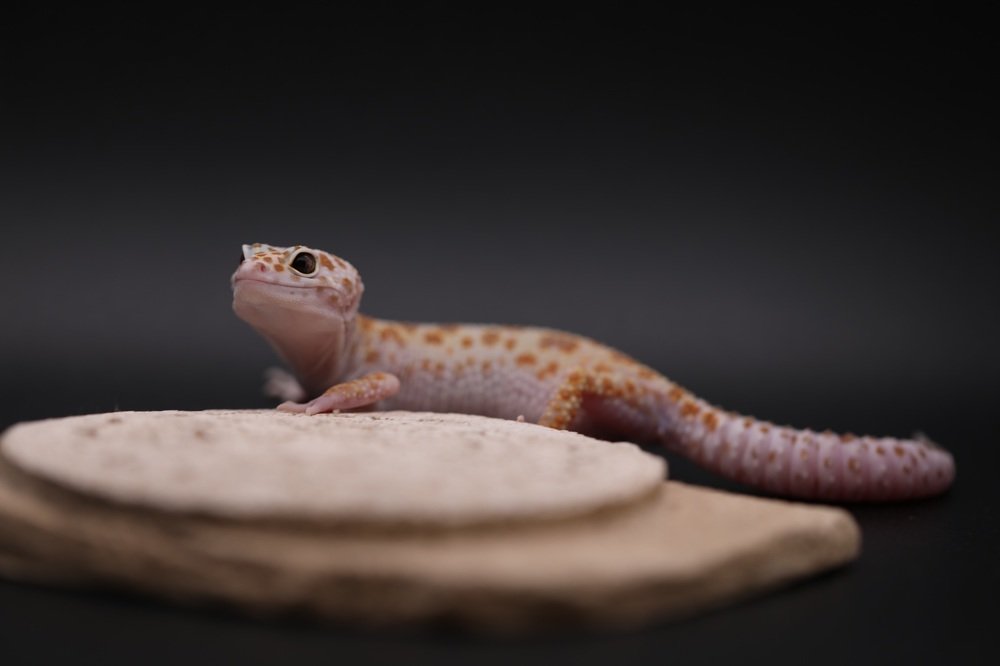 Photograph by Ирина Харичева