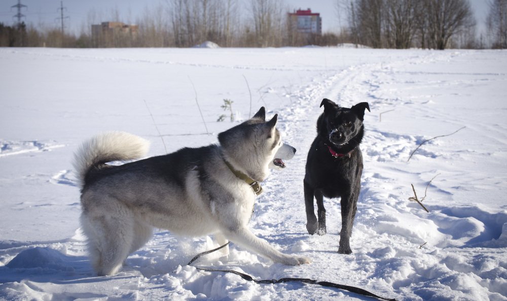 Photograph by Андрей Малыгин