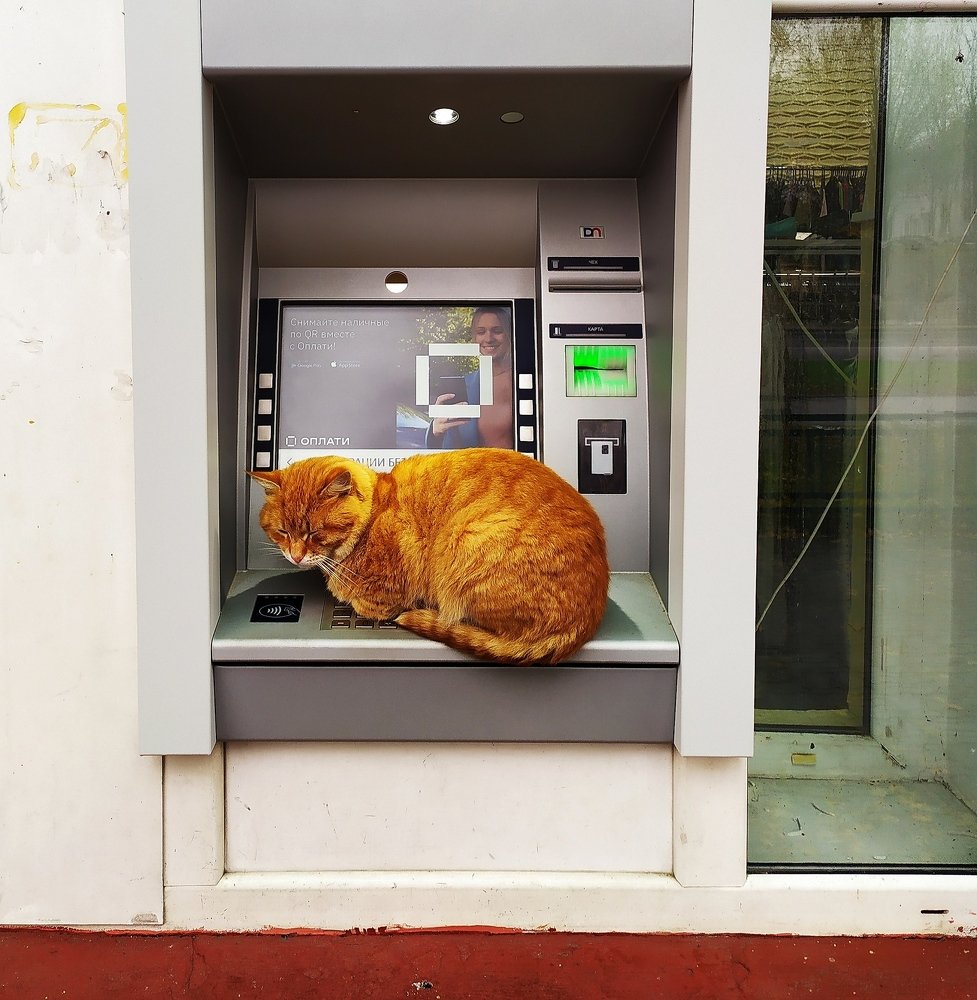 Ждём зарплату.