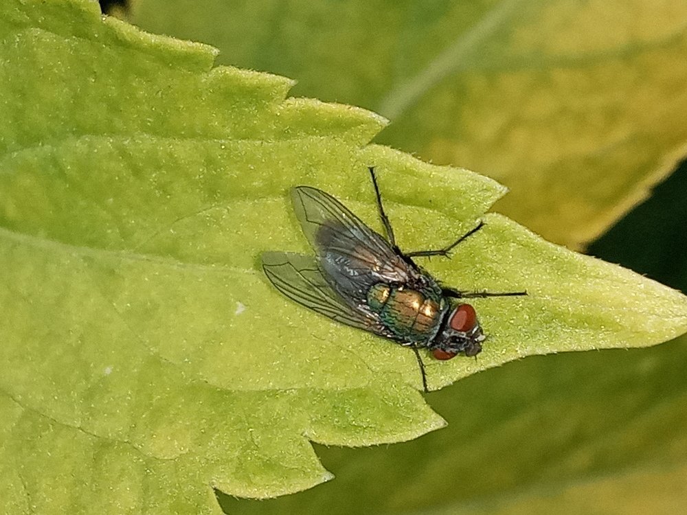 Фотография автора Jose Marcos Carvajal Tarazona