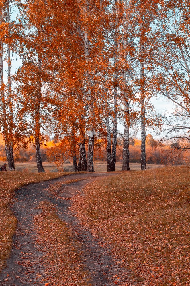 Осенний багрянец